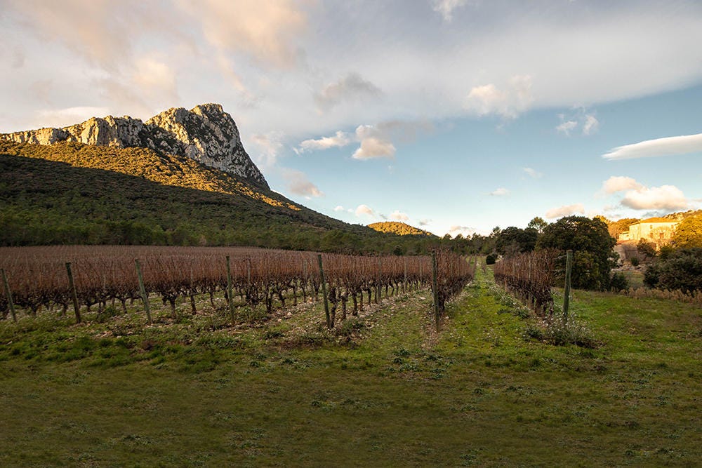 Terroirs et territoires : Autour de Montpellier