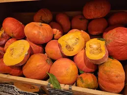 373-biocoop-montpellier-courreau-bio-automne-legume-courge-local.webp