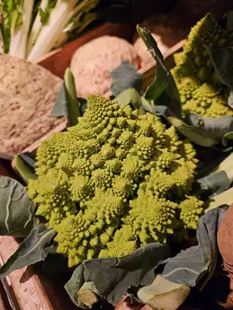 373-biocoop-montpellier-courreau-bio-legume-saison.webp