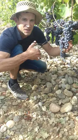 Julien, producteur de raisin de table bio